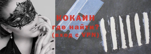 дживик Вязьма