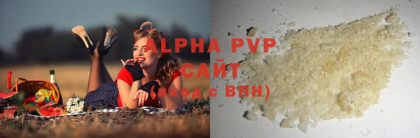 дживик Вязьма