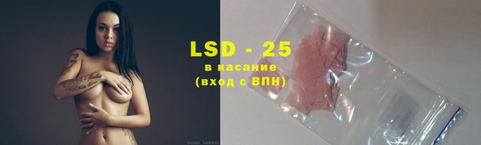 гидропоника Вяземский