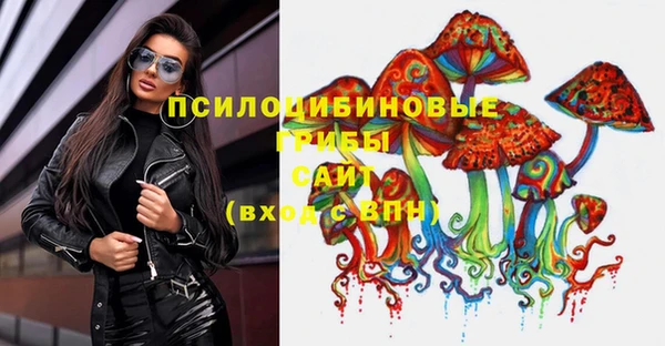 дживик Вязьма