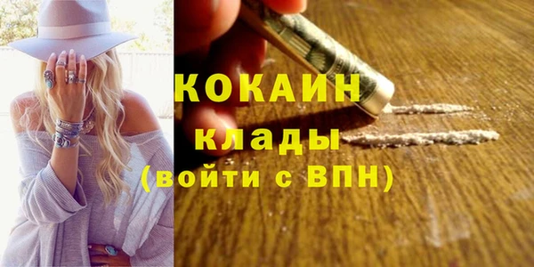 дживик Вязьма