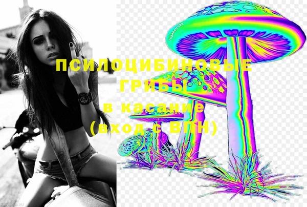 дживик Вязьма